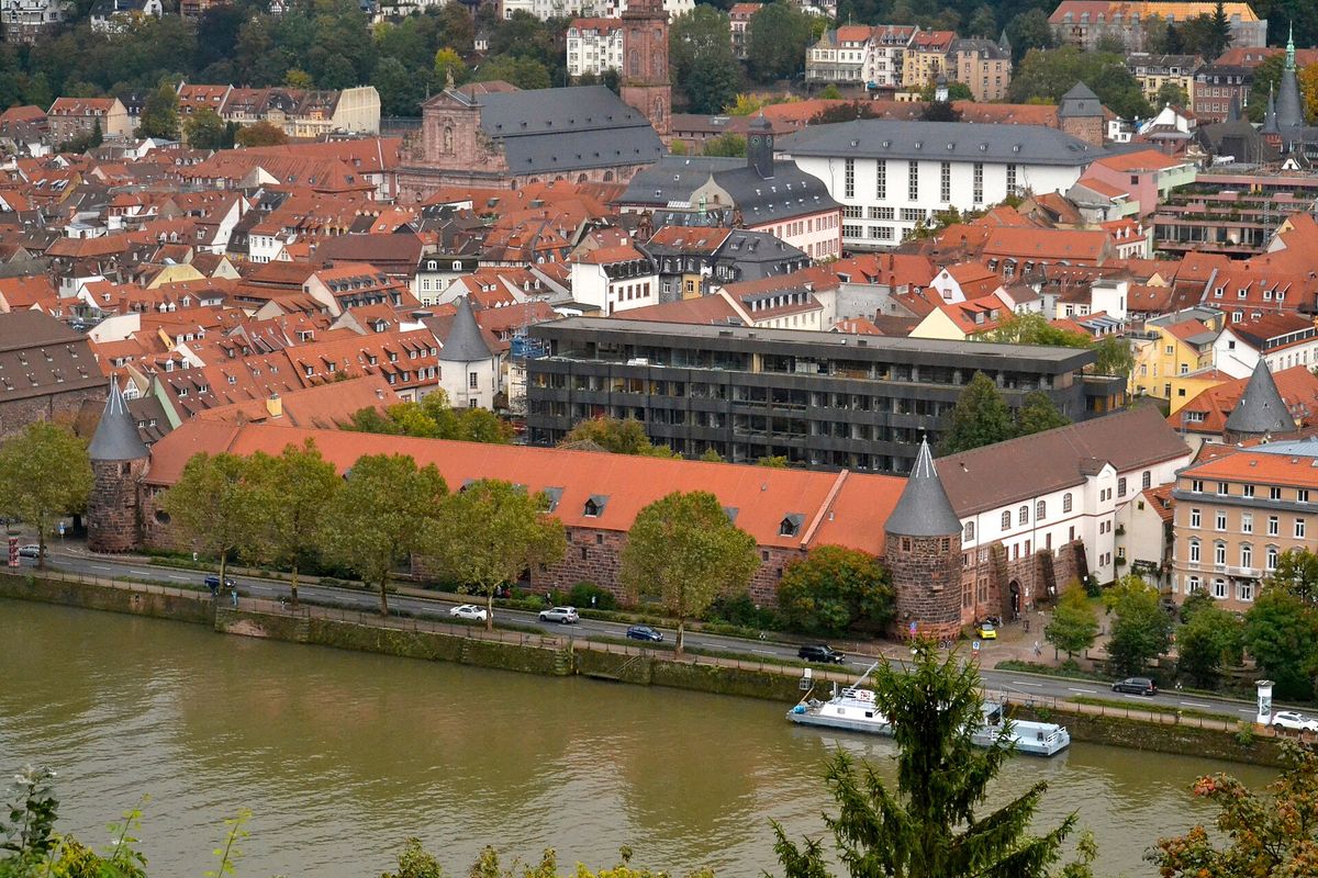 Neckarstaden mit Marstall und Altstadt von oben